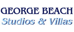 Visit George Beach Studios Website